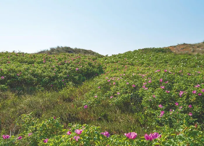 Kliffsand-72 Lägenhet *